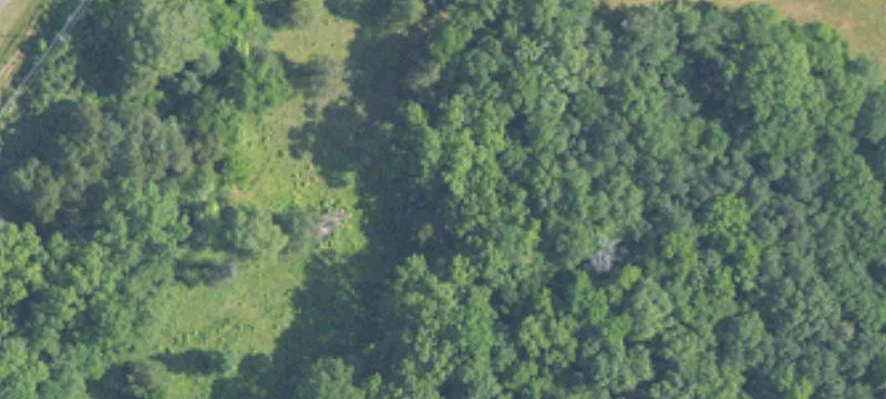 30 Acre Off Hwy 119th Near American Vlg A
