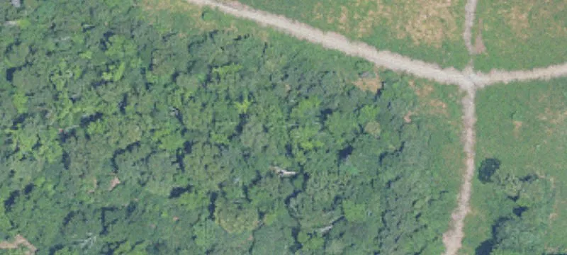 Alabaster, AL 35007