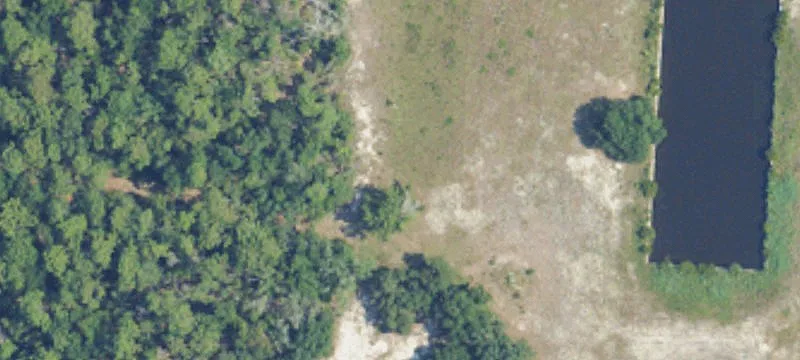 30700 County Rd 49