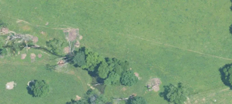 Montevallo, AL 35115
