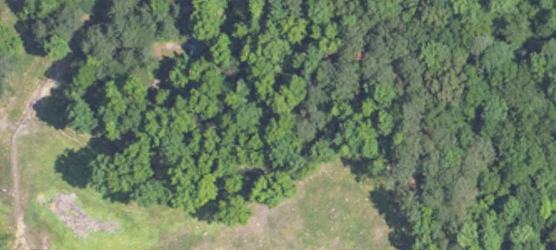 2445 Bone Dry Rd