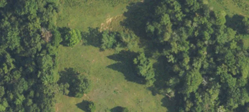 Clayton, AL 36016