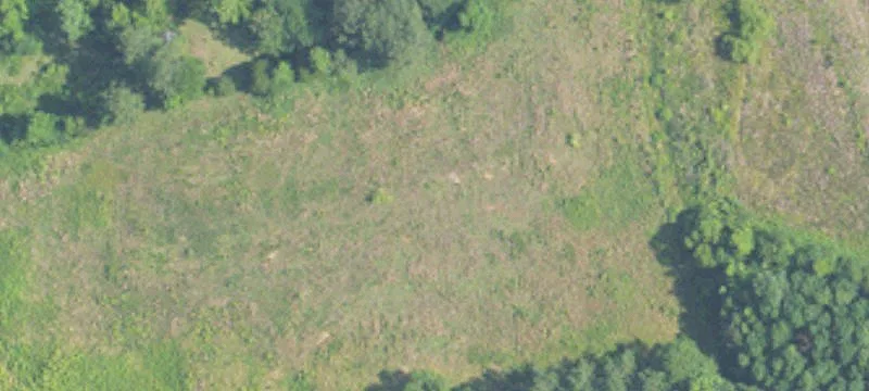 Columbiana, AL 35051