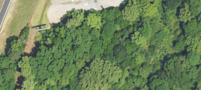 2391 Pineapple Hwy