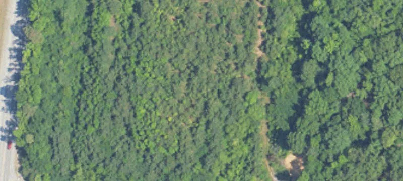 2 53rd Acres On Cor Of Hwy 31st And Whippoo Ln