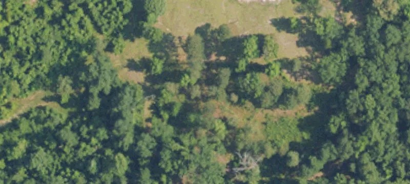 85 Balm Rd