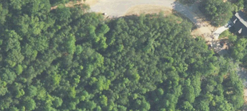 4580 Cabin Rd