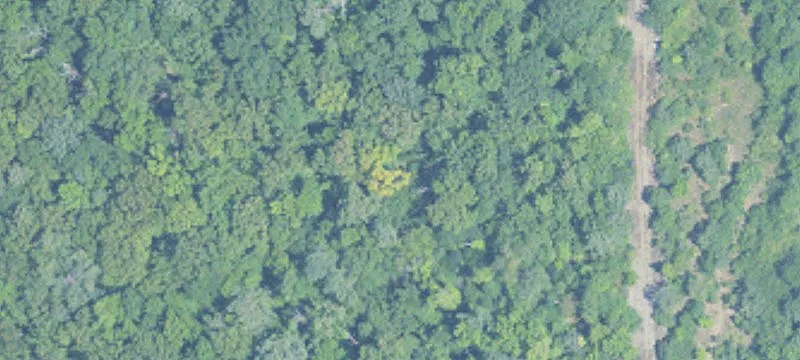 30 Acres Off Hwy