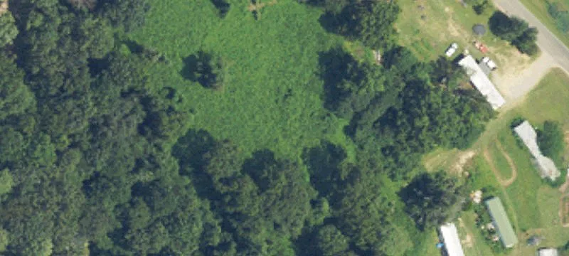 Cullman, AL 35055