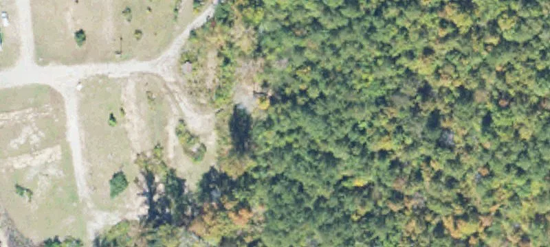 3842 Roy Webb Rd