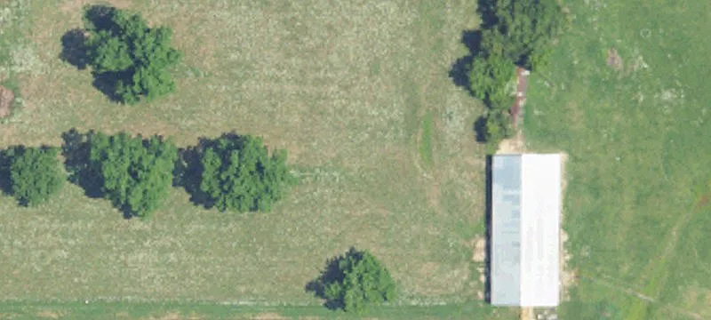 24001 State Hwy 181