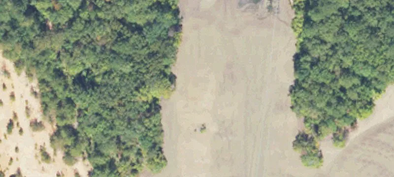 1800 Golden Spgs Rd