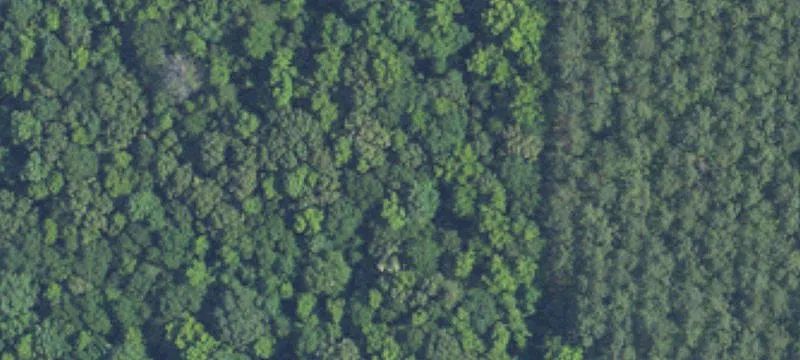 9930 County Rd 203