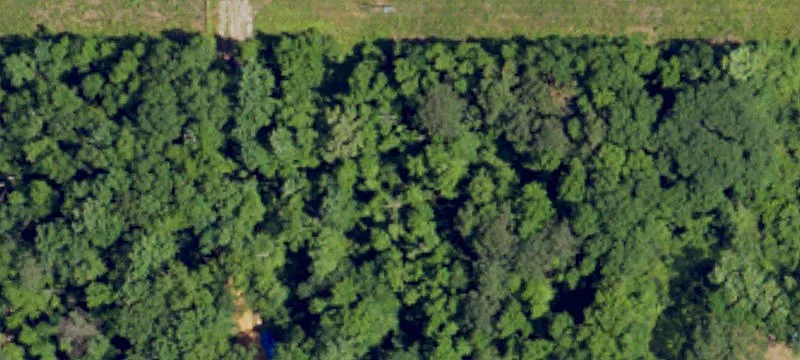 33116 Al Hwy 10