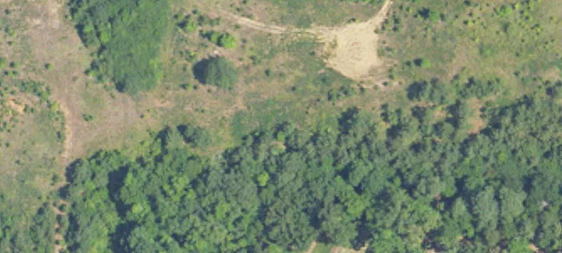 6485 Hwy 31