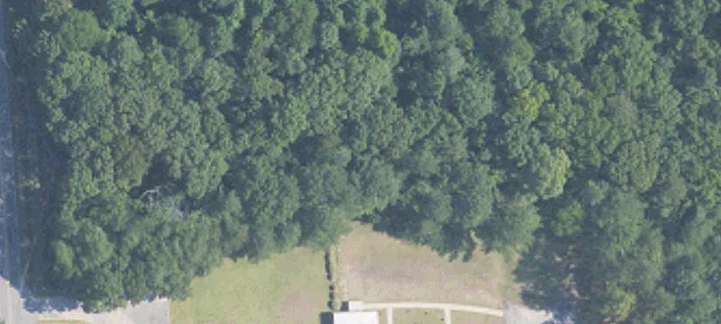 Alabaster, AL 35007