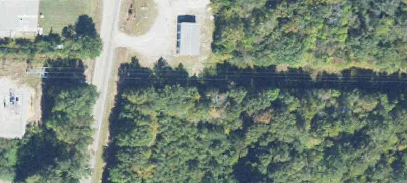 8970 Roy Webb Rd