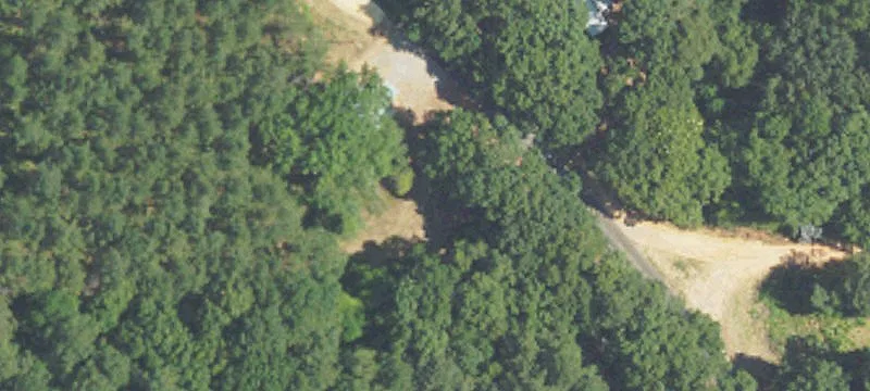 499 County Rd 440