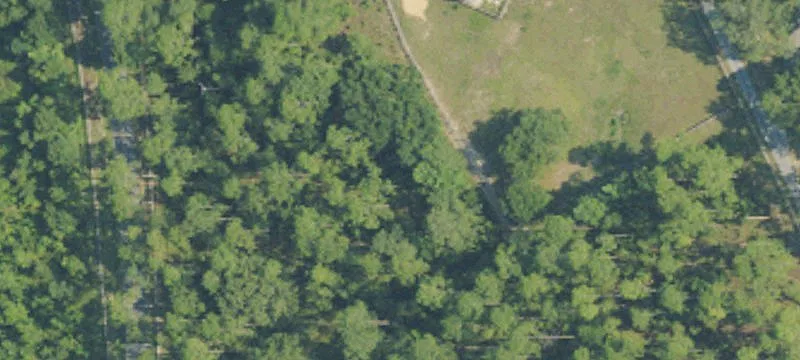 67781 T J Earle Rd