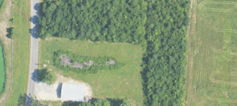 Murray Cir