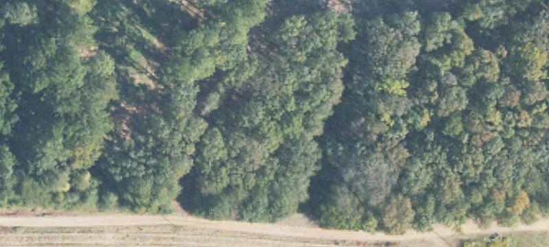 20 Acres On Al Hwy