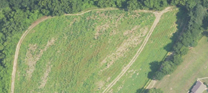 Altoona, AL 35952