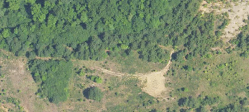 6465 Hwy 31