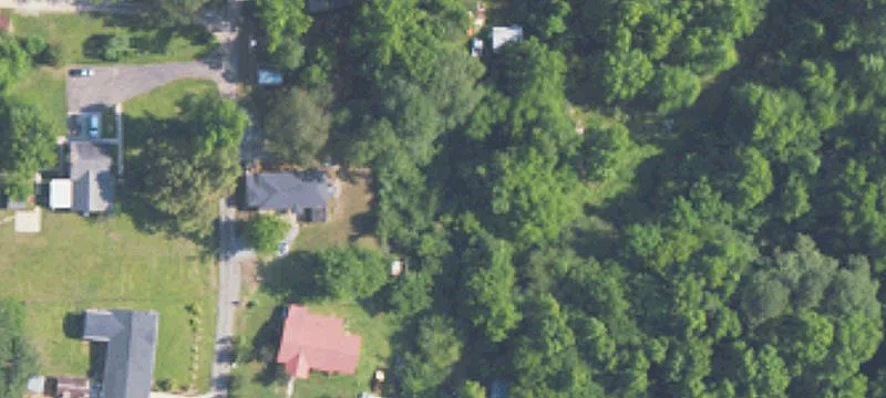 50 Blossom St