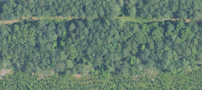 Sterrett, AL 35147