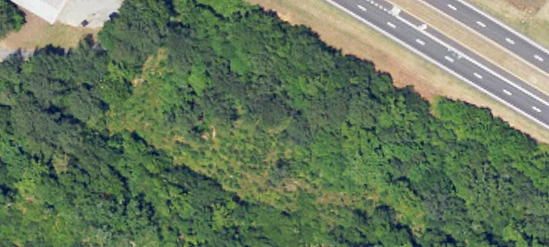 Us Us Hwy 231