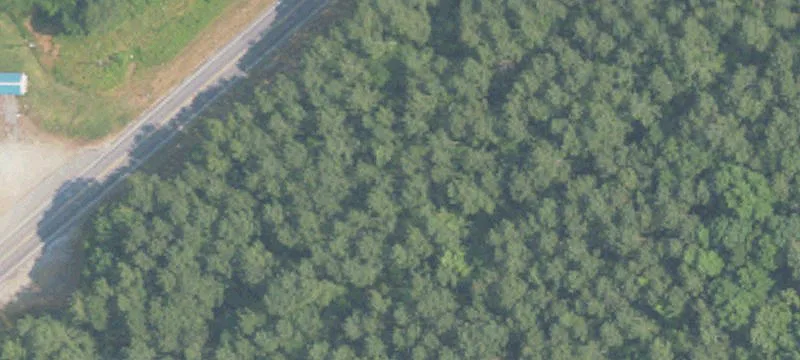 Delta, AL 36258