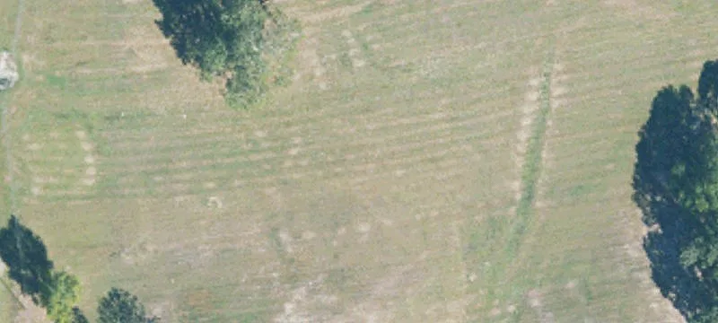 Talladega, AL 35160
