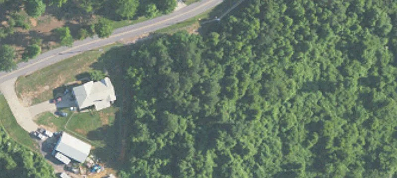 437 Dogwood Ln