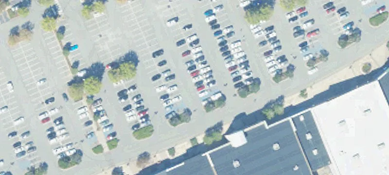 Tiger Town Pkwy