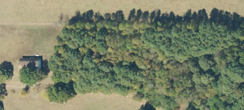 Bean Rock Rd