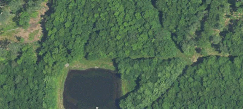 Moulton, AL 35650