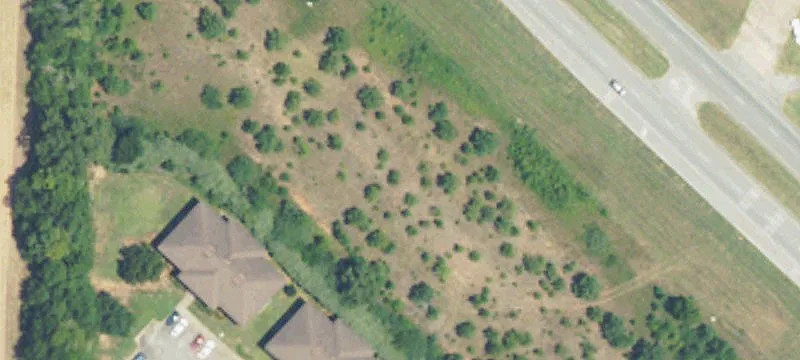 Us Hwy 231