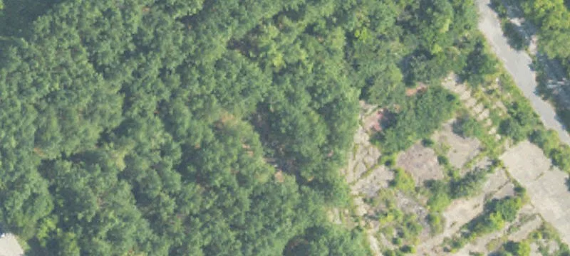 Sycamore, AL 35149