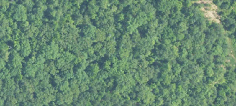 9 7th Acres Off Waterford Pkwy