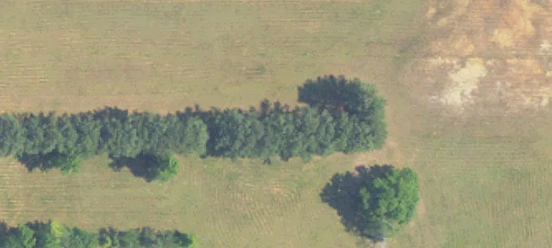Moulton, AL 35650