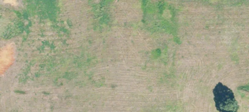 Talladega, AL 35160