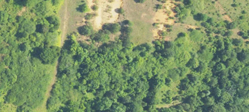 Woodstock, AL 35188