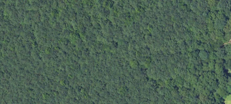 Carbon Hill, AL 35549