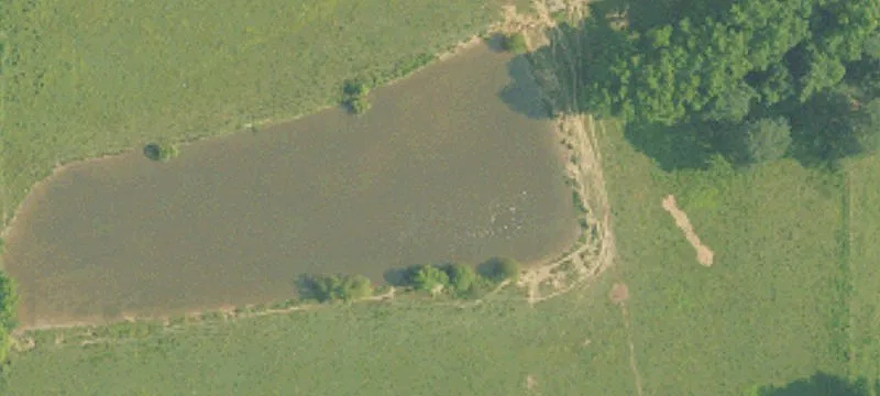 County Rd 1769