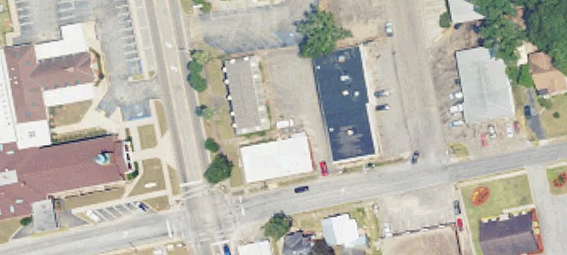 295 Un Ave