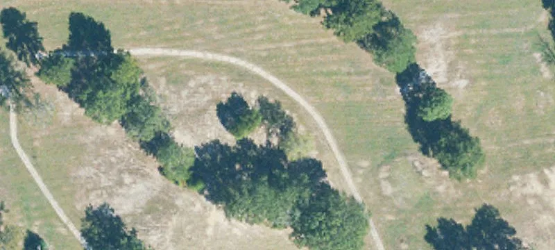 Talladega, AL 35160