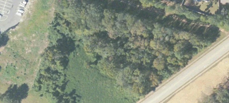 Lonfleaf Dr