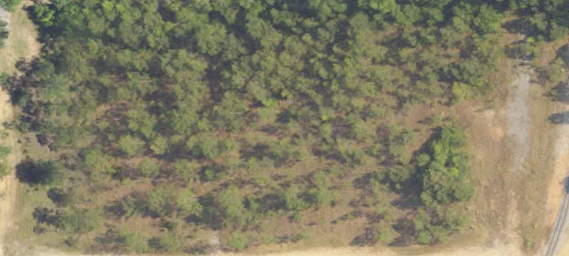 State Hwy 59