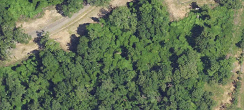 43300 State Hwy 225