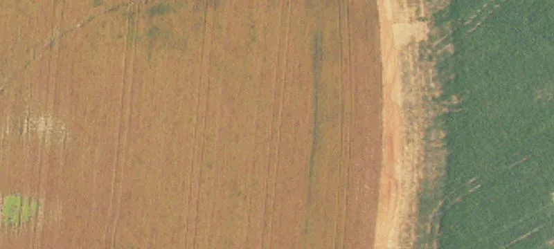 8848 Al Hwy 157